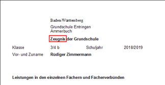 z_gemischt_20_zoom60