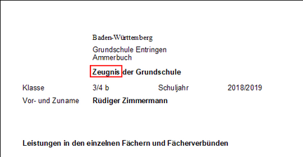 z_gemischt_20_zoom80