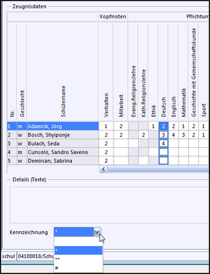 10_notenerfassung_klassenweise_80_zoom70